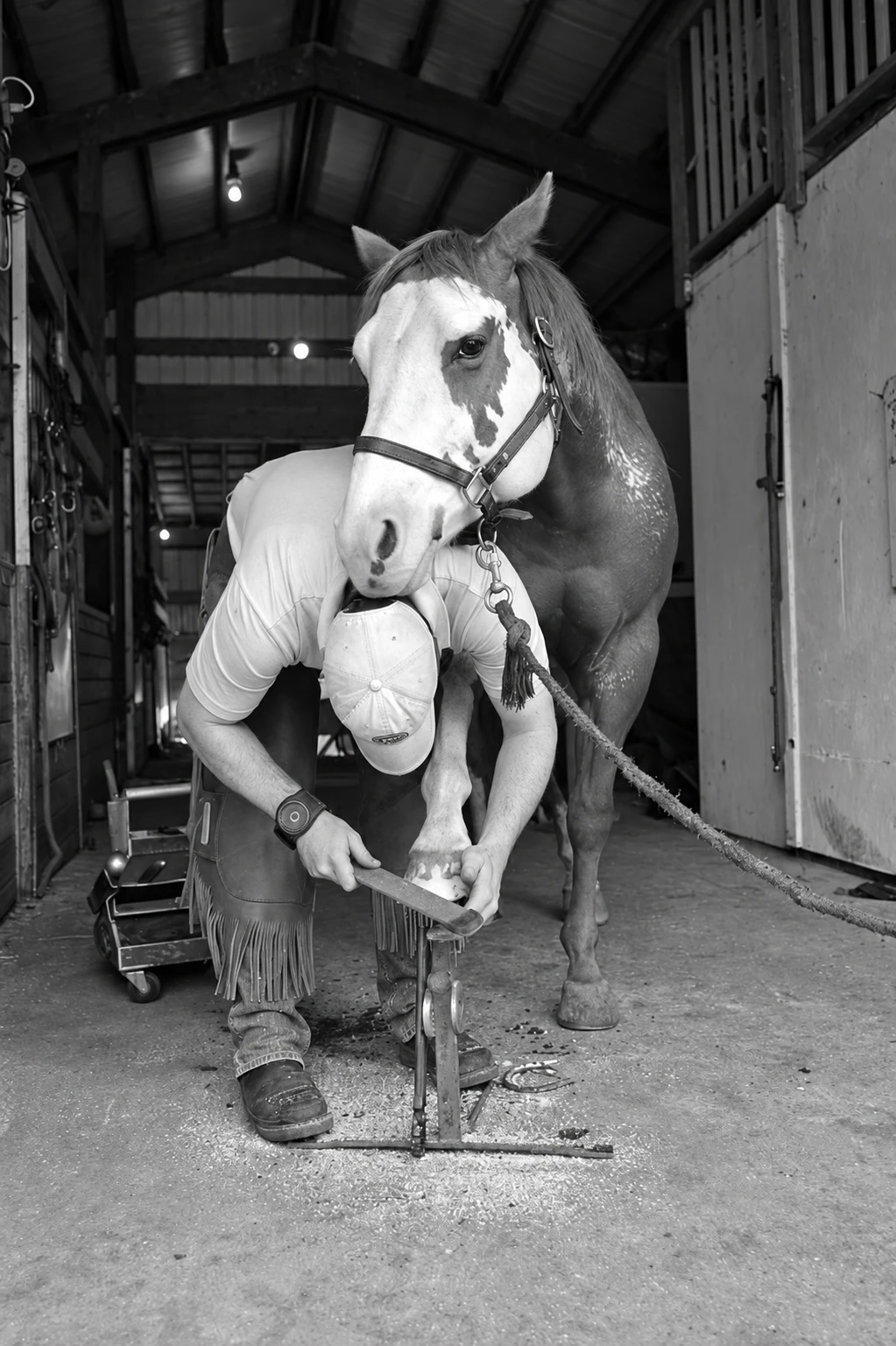 A farrier caring for a horse’s hoof in the barn